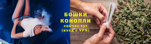шишки Великий Новгород
