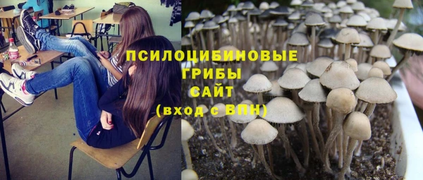 альфа пвп Ладушкин